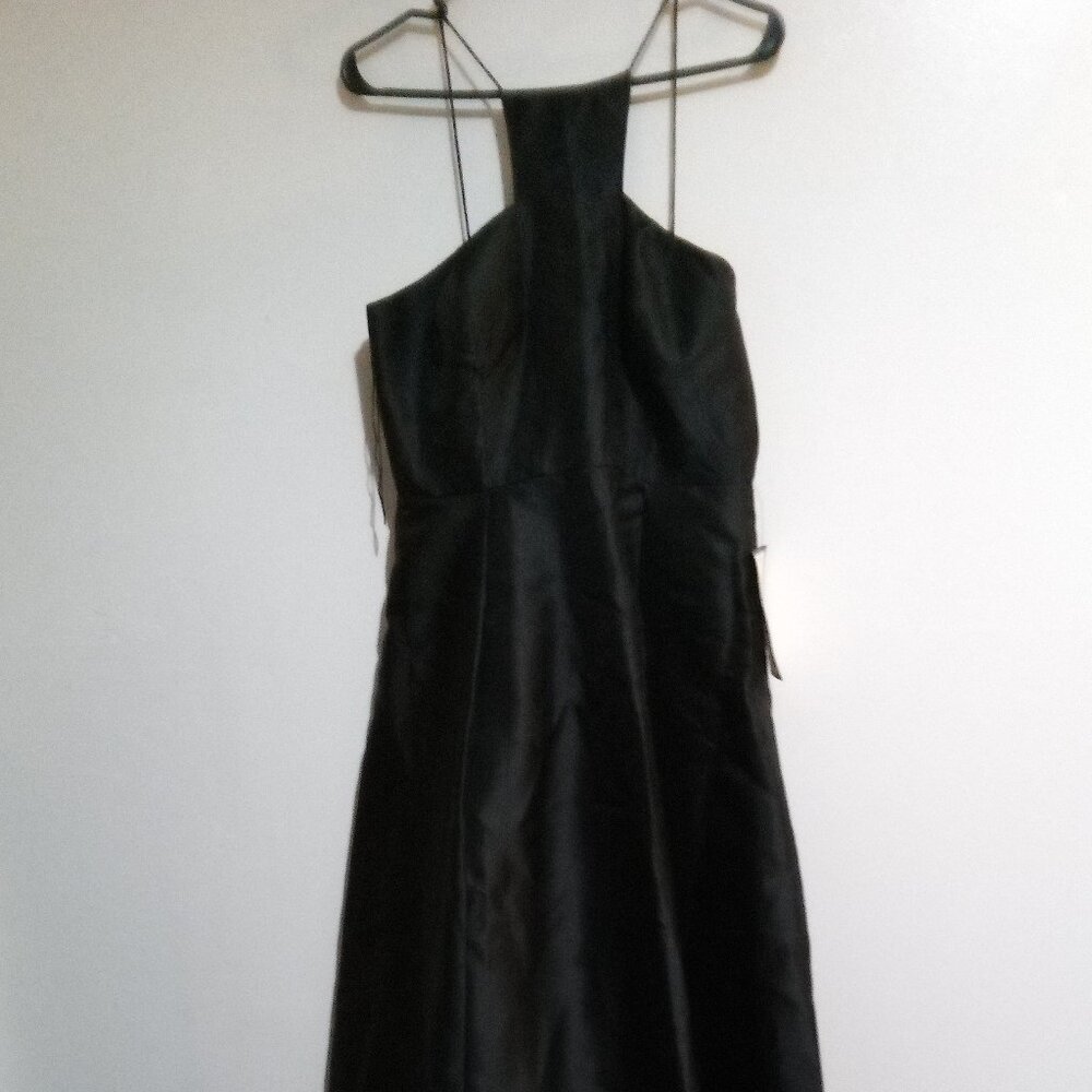 Adrianna Papell Prom Dress